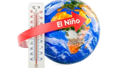 El Nino ఎఫెక్ట్తో భారత్లో పెరుగుతున్న హీట్వేవ్స్.. IMD స్టడీ షాకింగ్ వివరాలు వెల్లడి El Nino ఎఫెక్ట్తో భారత్లో పెరుగుతున్న హీట్వేవ్స్.. IMD స్టడీ షాకింగ్ వివరాలు వెల్లడి