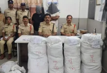 భద్రాద్రిలో గంజాయిపై పోలీసుల ఉక్కుపాదం.. రూ.2 కోట్ల విలువైన 385 కేజీల స్వాధీనం భద్రాద్రిలో గంజాయిపై పోలీసుల ఉక్కుపాదం.. రూ.2 కోట్ల విలువైన 385 కేజీల స్వాధీనం