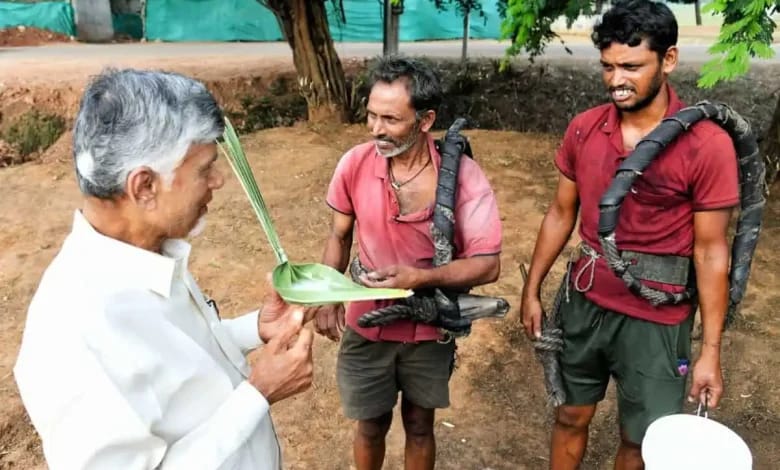 CM Chandrababu Viral: గీత కార్మికుడి ఇంటికి వెళ్లిన చంద్రబాబు.. డొప్పలో తాటి కల్లు రుచి చూసి ఏమన్నారంటే? CM Chandrababu Viral: గీత కార్మికుడి ఇంటికి వెళ్లిన చంద్రబాబు.. డొప్పలో తాటి కల్లు రుచి చూసి ఏమన్నారంటే?